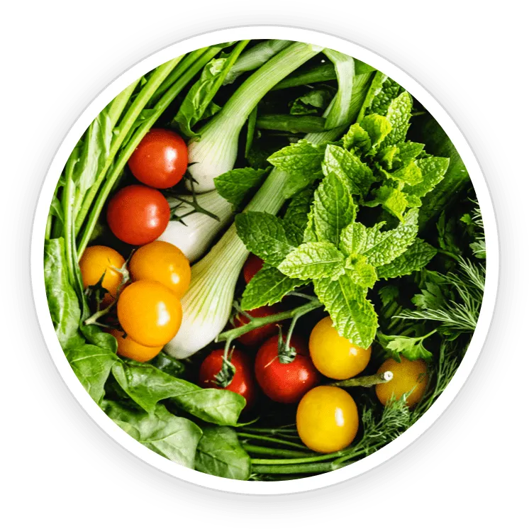 Sodium copper chlorophyllin ingredient illustration