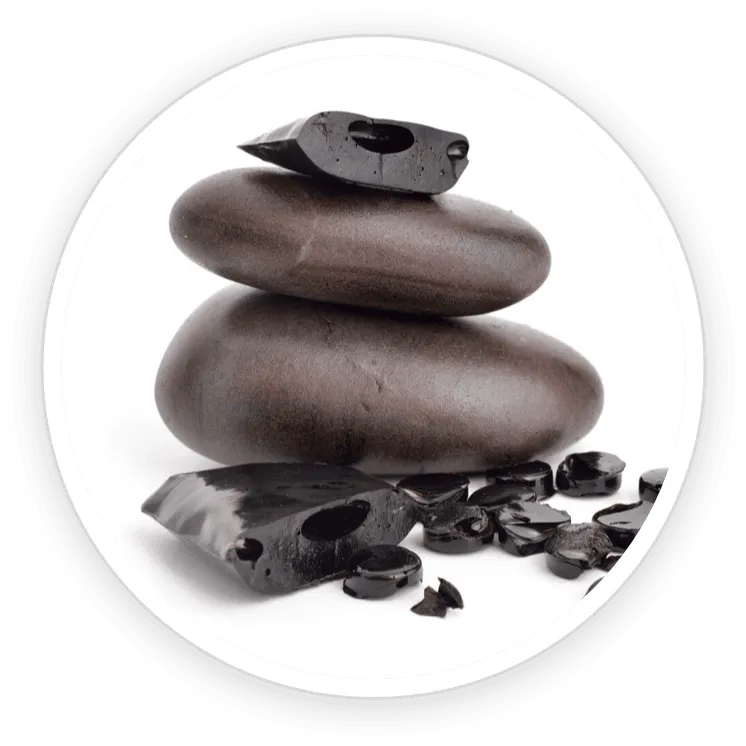 Shilajit extract ingredient illustration